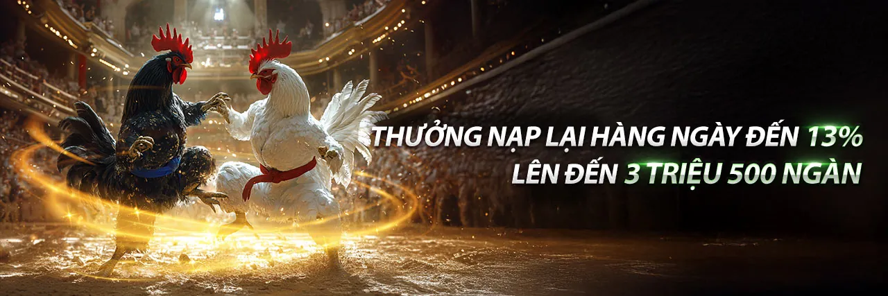 Sân vận động sôi động với cá cược thể thao m8win